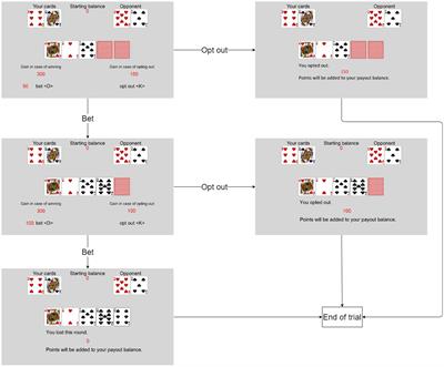 Exploring the determinants of reinvestment decisions: Sense of personal responsibility, preferences, and loss framing